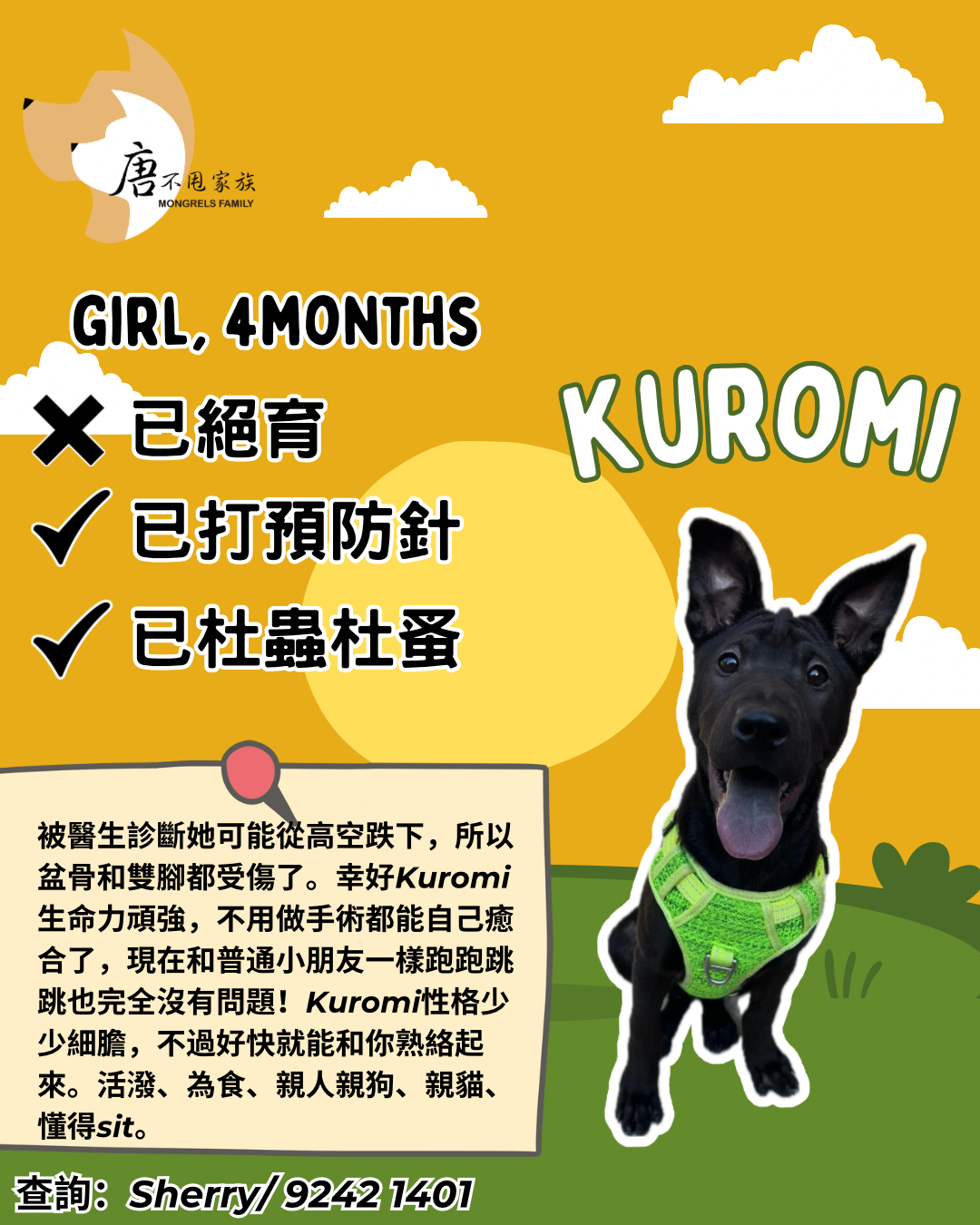 Kuromi